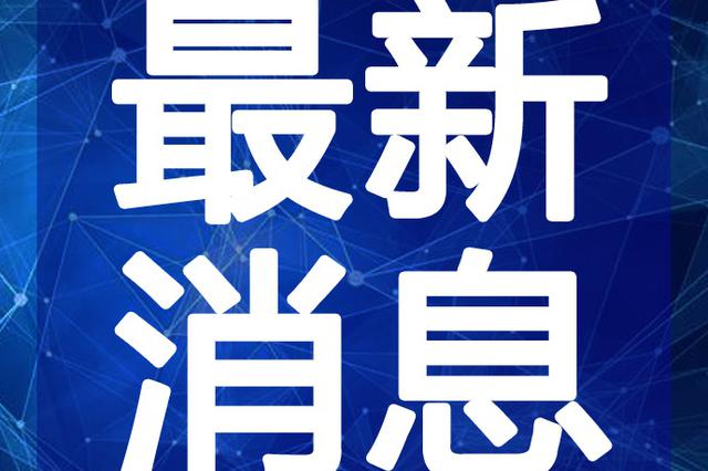 最新网片大揭秘，潮流必备，你准备好了吗？