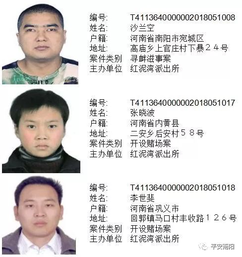 南阳最新通缉令发布
