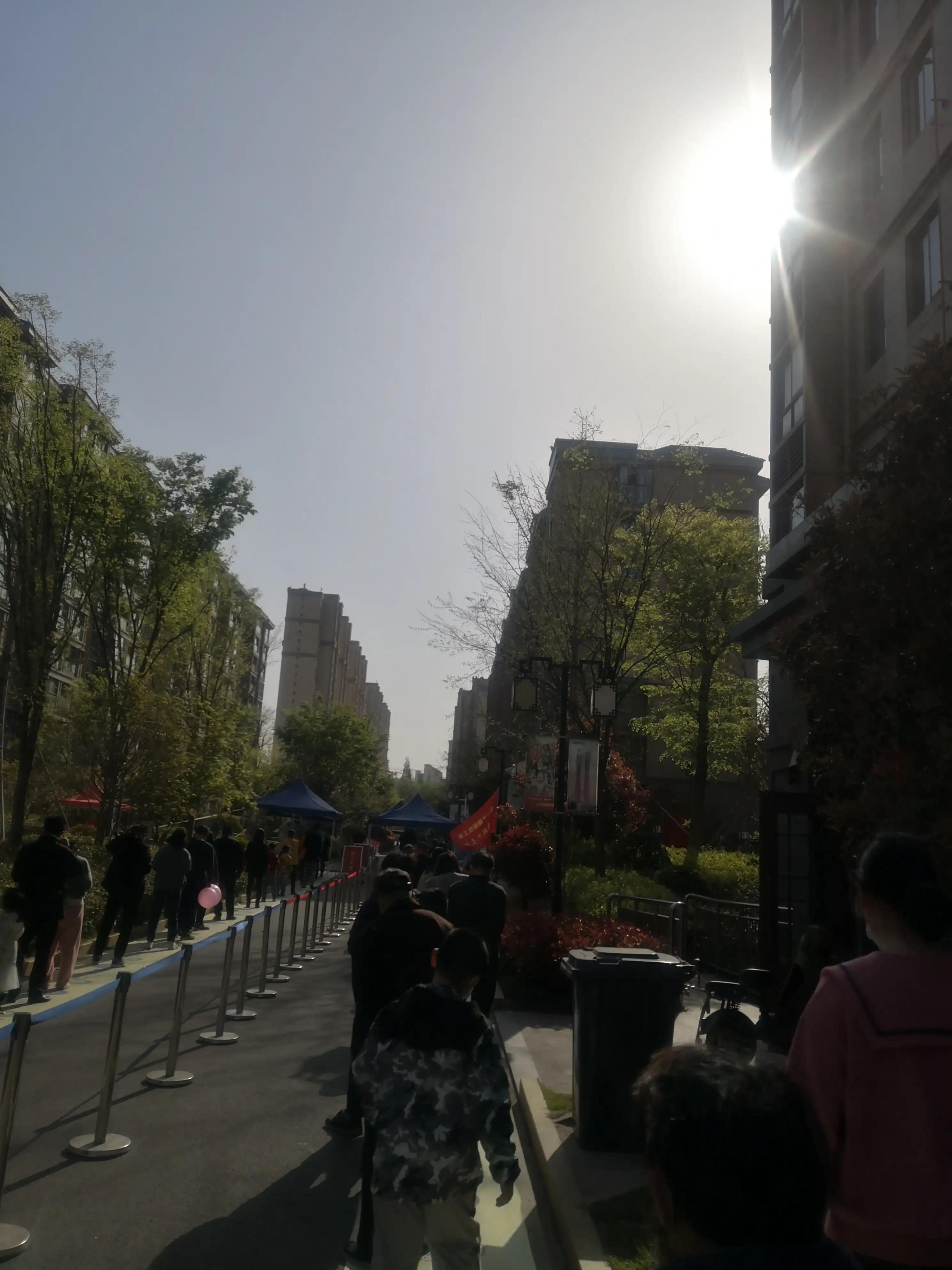 诊疗技术 第235页