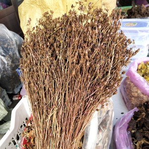 鹿心草最新价格,鹿心草最新价格获取指南