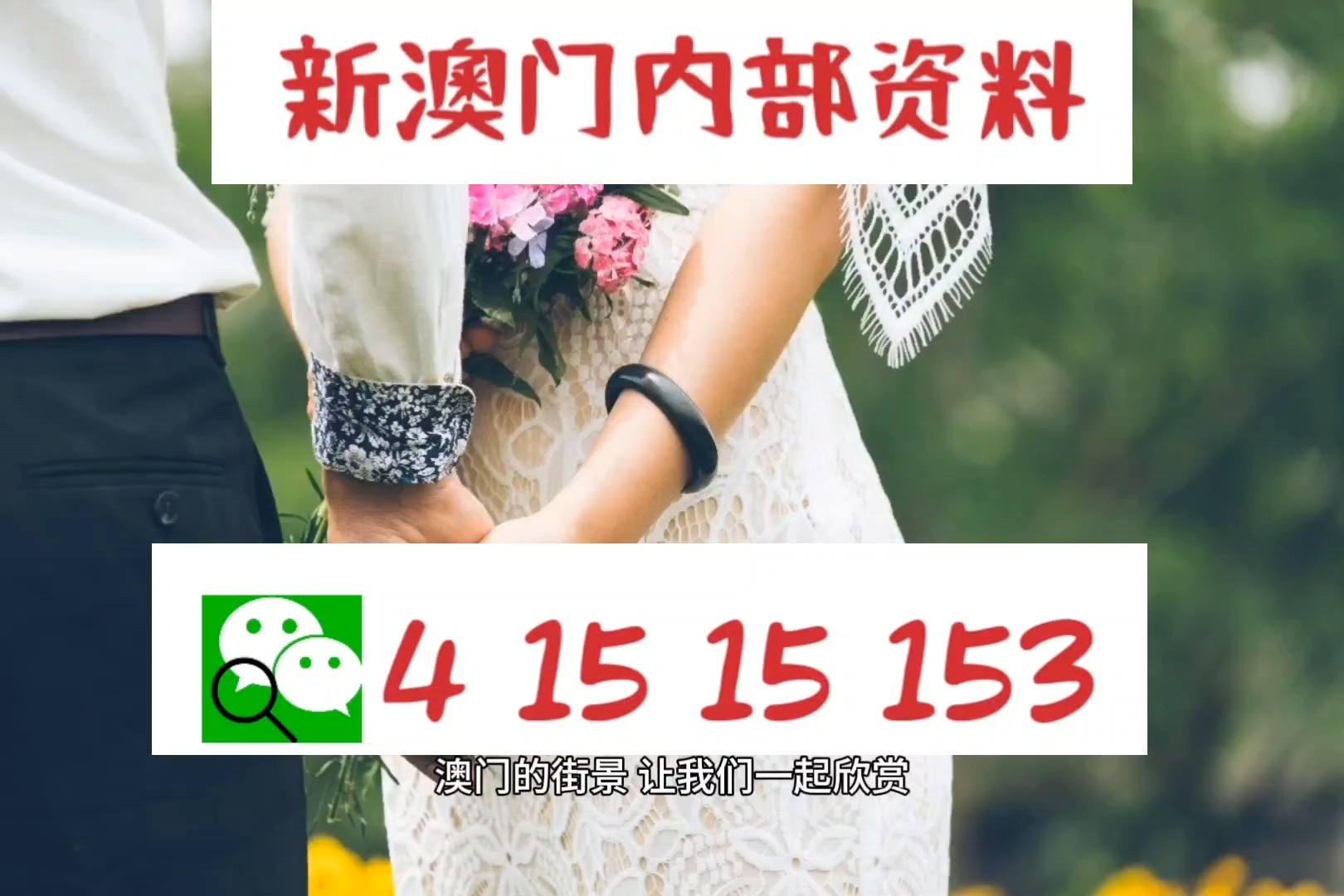 澳门今天晚上特马开什么,推动策略优化_天然版33.416
