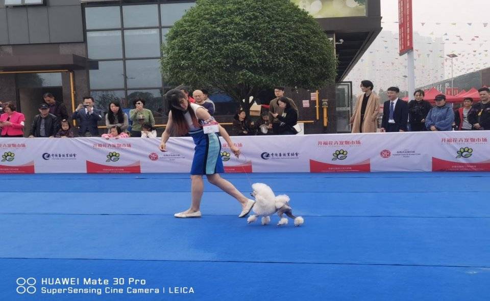 长沙美足比赛冠军，自然美景的启示之旅