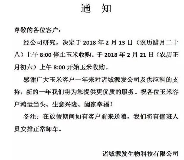 宁晋玉米价格走势分析，市场动态、影响因素及前景展望