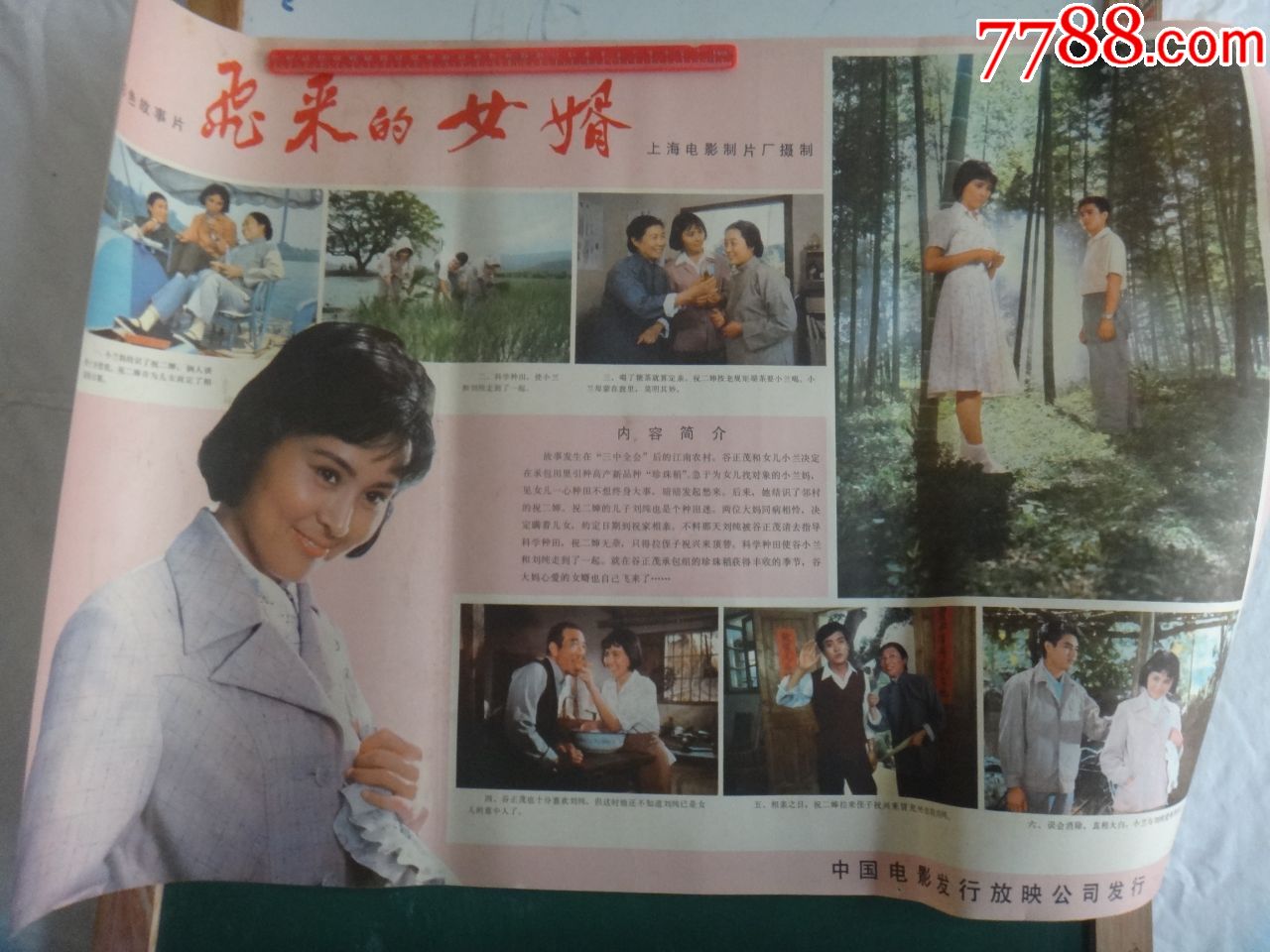 电影飞来的女婿观看与体验指南及深度解读