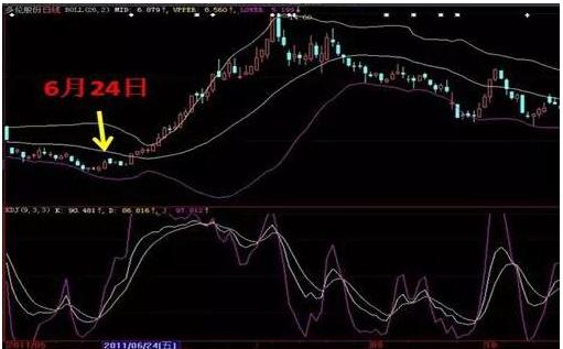诊疗技术 第48页