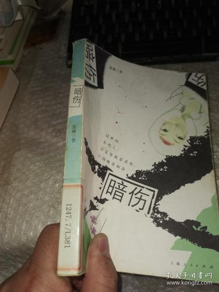 暗伤电视剧，自然美景中的心灵之旅之旅