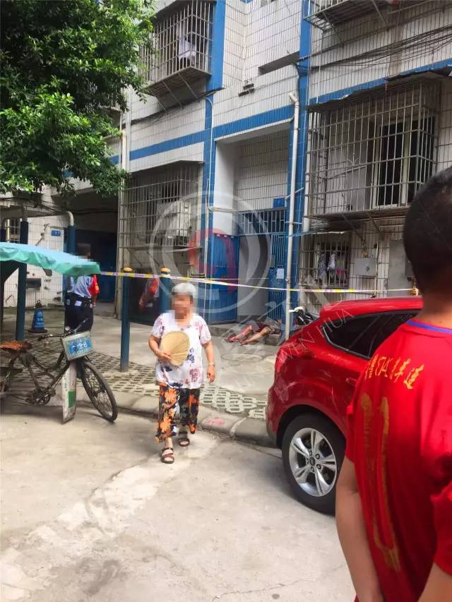 海南文昌最新命案深度解读与观点阐述