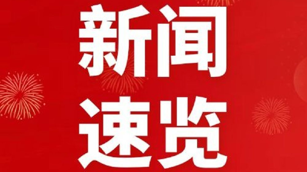最新动态，深度论述某某观点