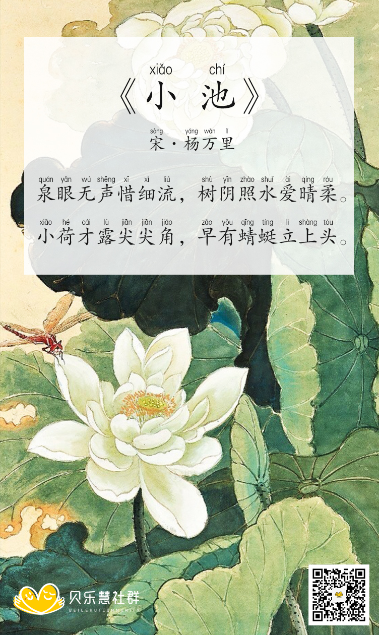 小池最新疫情动态更新