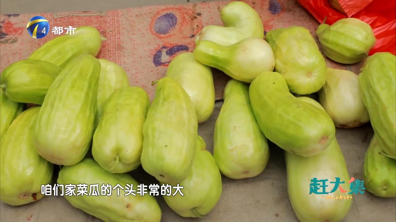 菜瓜最新剧集，小巷深处的独特风情