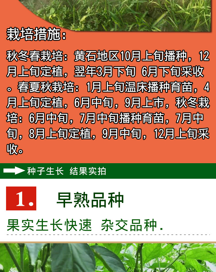 农家独苗最新，与自然美景的邂逅与内心的平和宁静探索