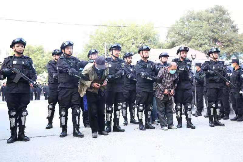 莘县最新命案详解，应对步骤与学习指南（适用于初学者与进阶用户）
